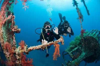 Дайвинг в Красном море - Экскурсии в Египте