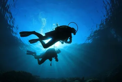 12 лучших мест для дайвинга в Красном море | Туристическое агентство \"Жара\"