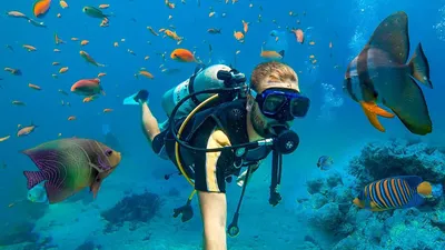 📷 Подводный мир Красного моря (Египет, Шарм эль Шейх.). Фото 66