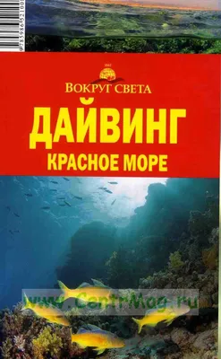 Исследуйте глубины: незабываемый дайвинг-тур на Красное море из Хургады -  Klook Россия