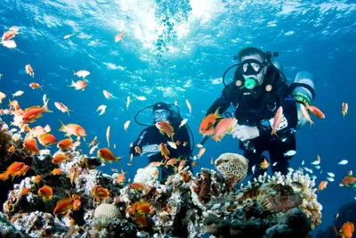 Посетите лучшие экскурсии на Мальдивах | Club Med
