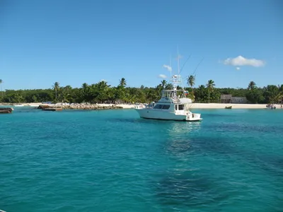 Scuba Diving in Punta Cana / Dominican Republic / Global Dive Academy /  Дайвинг в Доминикане - YouTube