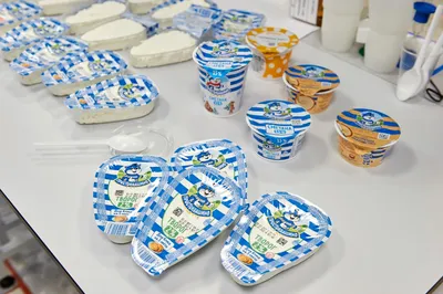 Вакансия Упаковщик йогуртов и продукции Danone в Польше, найти работу –  Just Work