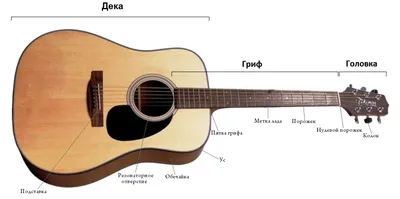 Устройство гитары - Уроки игры на гитаре
