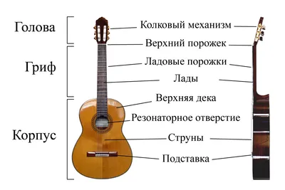 Конструкция гитары — Википедия