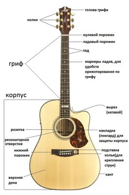 Полное руководство по покупке гитары