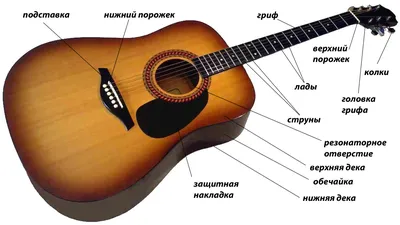 Как выбрать акустическую гитару для начинающего