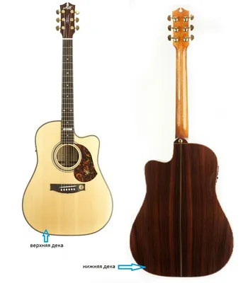 YAMAHA CG142C - классическая гитара 4/4, корпус нато, верхняя дека кедр  массив, цвет натуральный купить онлайн по актуальной цене со скидкой и  доставкой - invask.ru