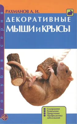 Длинношерстные пушистые декоративные мыши: 50 грн. - Другие животные Киев  на Olx