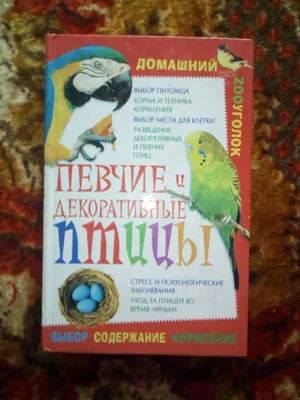 Декоративные фигуры \"Птицы - мозаика\", 2 штуки (07403) - купить в Москве,  цены на Мегамаркет