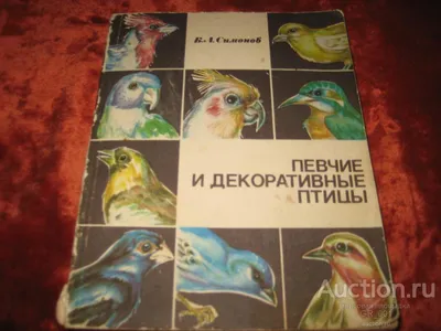 Певчие и декоративные птицы Лот №6538503286 - купить на Crafta.ua