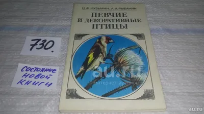 Декоративные птицы и бабочки RM5-234 ОСТАТОК (ID#1994131003), цена: 72.60  ₴, купить на Prom.ua