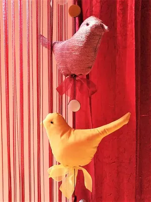 Жемчужноголовая амадина - Певчие и декоративные птицы