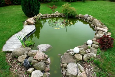 Декоративный пруд: как сделать водоём на даче своими руками — Roomble.com