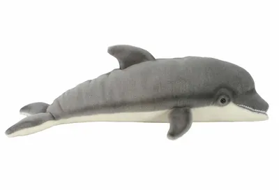 Фигурка MOJO Animal Planet Дельфин-афалина купить по цене 489 ₽ в  интернет-магазине Детский мир