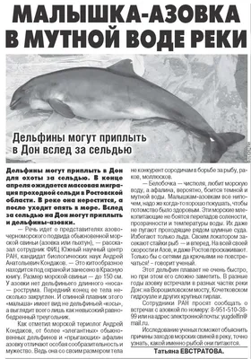 У берегов Грузии встречается морская свинья – за что этот дельфин получил  такое название? | Удивительная Грузия | Дзен