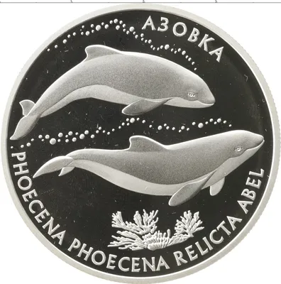 На побережье под Мариуполем нашли мертвого дельфина (ФОТО) - Новини 13  травня 2013 р. - 0629.com.ua