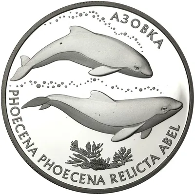\"Море голосов\" - экспедиция в защиту дельфинов Черного моря -  краудфандинговый проект на Boomstarter