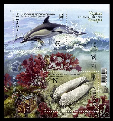 File:The Soviet Union 1990 CPA 6251-6254 block of 4 (Marine Mammals. Killer  whale, steller sea lion, sea otter and Short-beaked common dolphin).jpg -  Wikimedia Commons