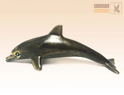 общий дельфин Delphis Delphinus Стоковое Изображение - изображение  насчитывающей обще, португалия: 6994013