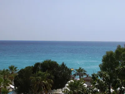 Отель Delphin Botanik World of Paradise 5* Аланья Турция — отзывы,  описание, фото, бронирование отеля