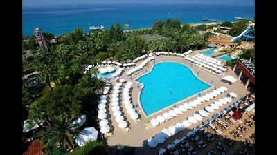 Delphin Deluxe Resort 5* (Окурджалар, Турция) - цены 2023, фото, описание,  отзывы - Коллекция Кидпассаж