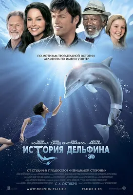 Отзыв о Отель Delphin Diva Premiere 5* (Турция, Анталья) | Отель высшего  класса для искушённых и притязательных (12 фото)