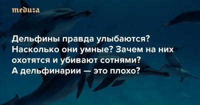Dolphin » uCrazy.ru - Источник Хорошего Настроения