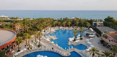 Рай существует! — отзыв про Delphin Palace Hotel