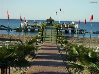 Спа- зона и Ужин Рыбный день / отель Delphin Palace Antalya часть 4 -  YouTube
