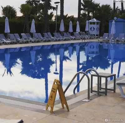 Delphin Palace Hotel 5*, Лара (Турция): Сравнение цен, Отзывы, Видео,  забронировать онлайн