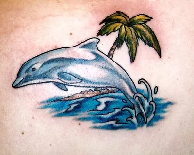 Вектор дизайна иконки Tatoo Dolphin объекты без фонового логотипа  Иллюстрация вектора - иллюстрации насчитывающей дельфин, икона: 157649178