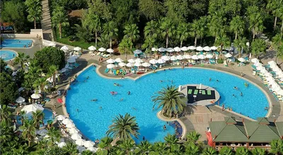 Delphin Diva Premiere Hotel 5* (Анталья, Турция), забронировать тур в отель  – цены 2024, отзывы, фото номеров, рейтинг отеля.