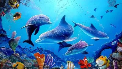 Обои дельфин, забавный, подводный мир, арт картинки на рабочий стол, фото  скачать бесплатно
