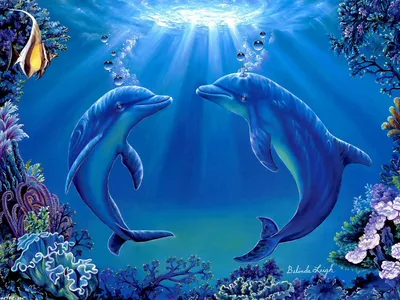 Скачать обои Подводный мир Belinda Leigh, дельфины, танец на рабочий стол  1600x1200 | Animali marini, Delfini, Animali