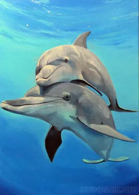 Почему дельфины все чаще выбрасываются на берег Крыма: Статьи экологии ➕1,  29.04.2022