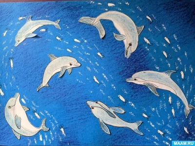Фотообои Для девочек \"Красивый рисунок дельфины и черепахи\" - арт 003050007  | Купить в интернет-магазине Фото в дом