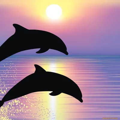 Дельфины выпрыгивают из воды на закате | Премиум Фото