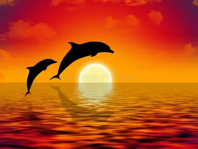 дельфин выпрыгивает из океана на закате, дельфин, вода, небо фон картинки и  Фото для бесплатной загрузки