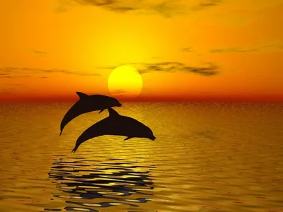 Картина с дельфинами \"Дельфины на рассвете\". Морской пейзаж в  интернет-магазине Ярмарка Мастеров по цене 4000 ₽ – NYKMSBY | Картины,  Самара - доставка по России