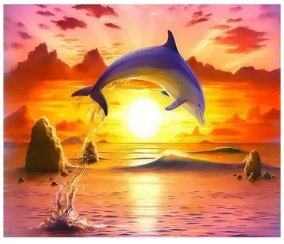 Купить живопись по номерам Paintboy Дельфины на закате 40x50, цены в Москве  на Мегамаркет | Артикул: 600001088986