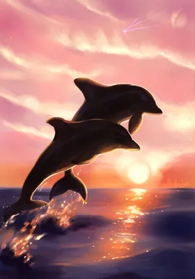 Дельфины на закате фотообои купить на заказ, цены в Украине - Miray