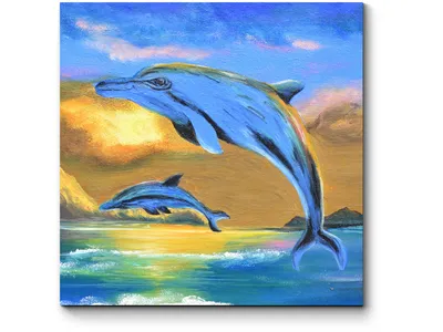 С Дельфинами На Закате — стоковые фотографии и другие картинки Дельфин -  Дельфин, Закат солнца, Без людей - iStock