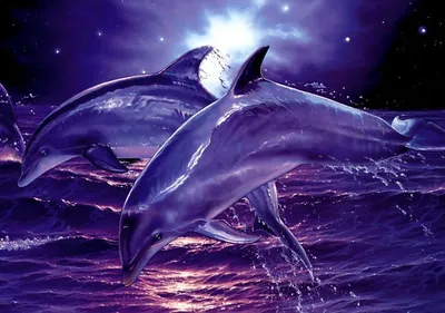 Пула: Национальный парк Бриуны, круиз с дельфинами и ужин | GetYourGuide