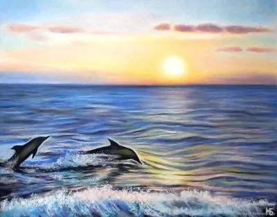В Черном море гибнут дельфины. Кто виноват?