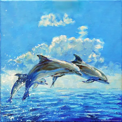 В акватории Черного моря продолжают гибнуть дельфины