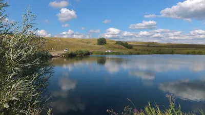 ПРАЗДНИК КАЖДЫЙ ДЕНЬ №56. 22 МАРТА. Всемирный день воды. | КАКАЯ ЖИЗНЬ,  ТАКИЕ И РАССКАЗЫ | Дзен