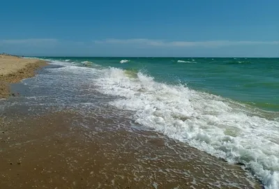 Пакостный пляж Каспийского моря Derbent Стоковое Изображение - изображение  насчитывающей бобра, россия: 85035455