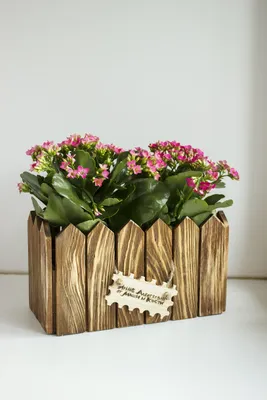 Кашпо деревянный ящик для цветов.