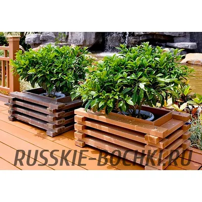 Купить Деревянные ящики кашпо для цветов по лучшей цене в Украине -  1190395851